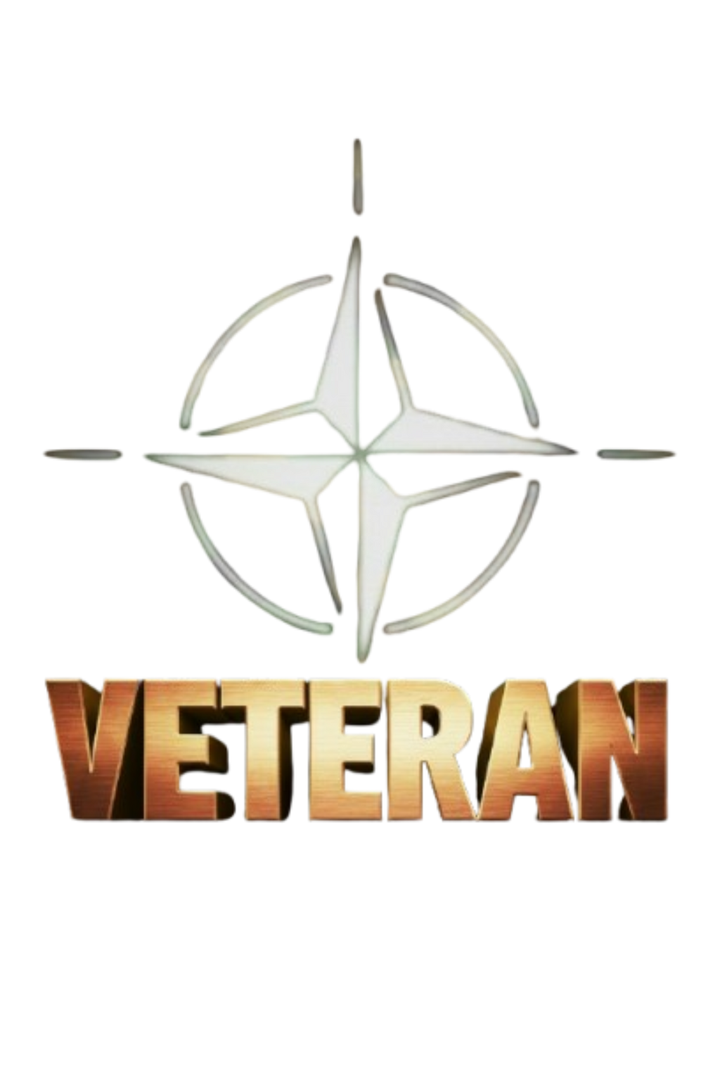 Nato veteran - T-shirt - Liten patch